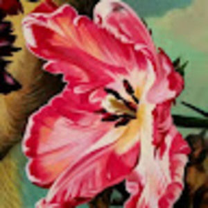 Meet your Posher, Olga